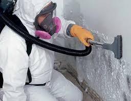 Best Mold Removal for HVAC Installations  in Glendale, MS